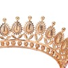 Vofler Queen Tiara Red Crystal Crown for Women Wedding Hair