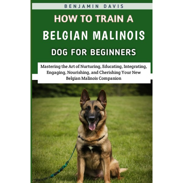 How To Train A Belgian Malinois Dog For Beginners: Mastering