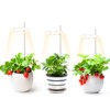 Plant Grow Light 3.3in Diameter 3 Heads Easy Operation Brightness