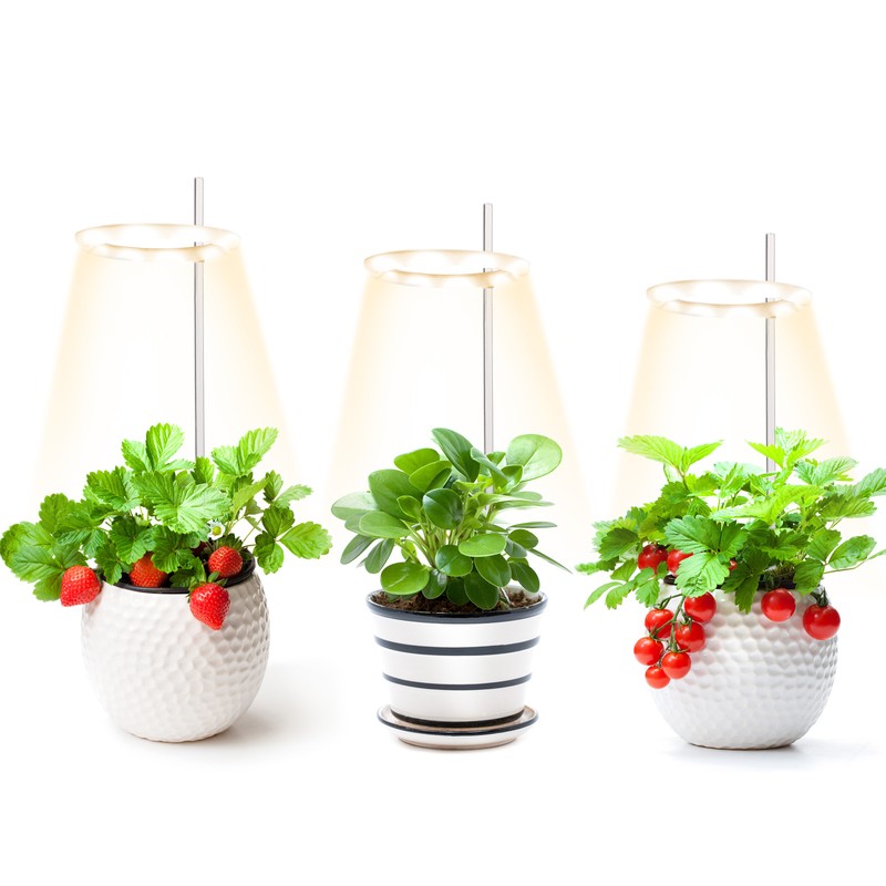 Plant Grow Light 3.3in Diameter 3 Heads Easy Operation Brightness