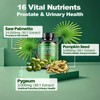 All-in-1 Saw Palmetto Supplements, Vegan, USA Made (60Count (Pack of