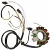 For Polaris Stator for Polaris Magnum 500 1999 2000 New