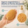 Esponja Exfoliante Corporal Diochefac01g679m 2 Unidades - Cuidado Diario