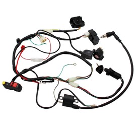 Complete Electrics Wiring Harness D8EA Spark Plug CDI Ignition Coil Kits for Chinese Dirt Bike 150cc 200cc 250cc Zongshen Loncin