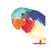 Boland - Parrot Decoration, Multicoloured, 52354