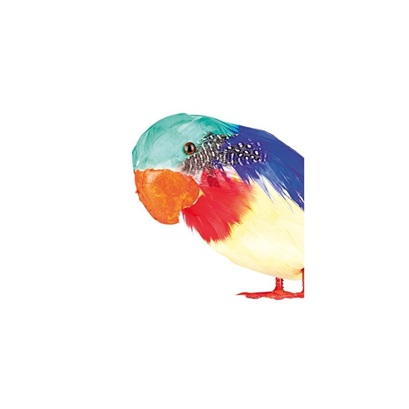 Boland - Parrot Decoration, Multicoloured, 52354