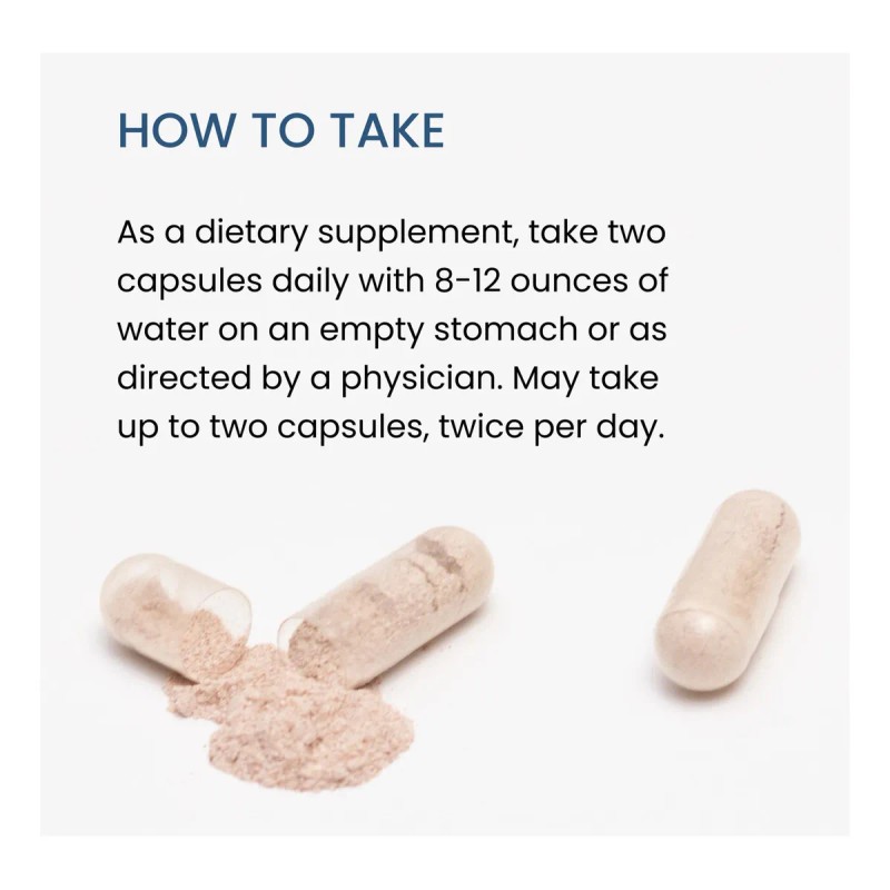 Suplemento The Wellness Company Signature Series Enzimas De Spike Support