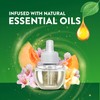 Air Wick Plug In Scented Oil Refill,Summer Delights, 10 ct
