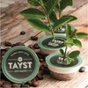 Tayst Coffee Pods, Pumpkin Crush Medium Roast, K Cups Compatible