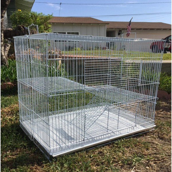 Mcage LARGE 30" Critter 3-Tiers Chew Free Cage Guinea Pig