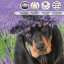 The Blissful Dog Coonhound Relax Roll-ON Aromatherapy for Dogs - Anxiety Relief for Dogs