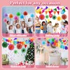 Party Decoration Paper Pompoms, Colourful Party Decoration Paper, 47-Piece Fiesta