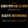 Dr. Lean Curly Kale Powder Song Joong-ki Curly Kale Organic