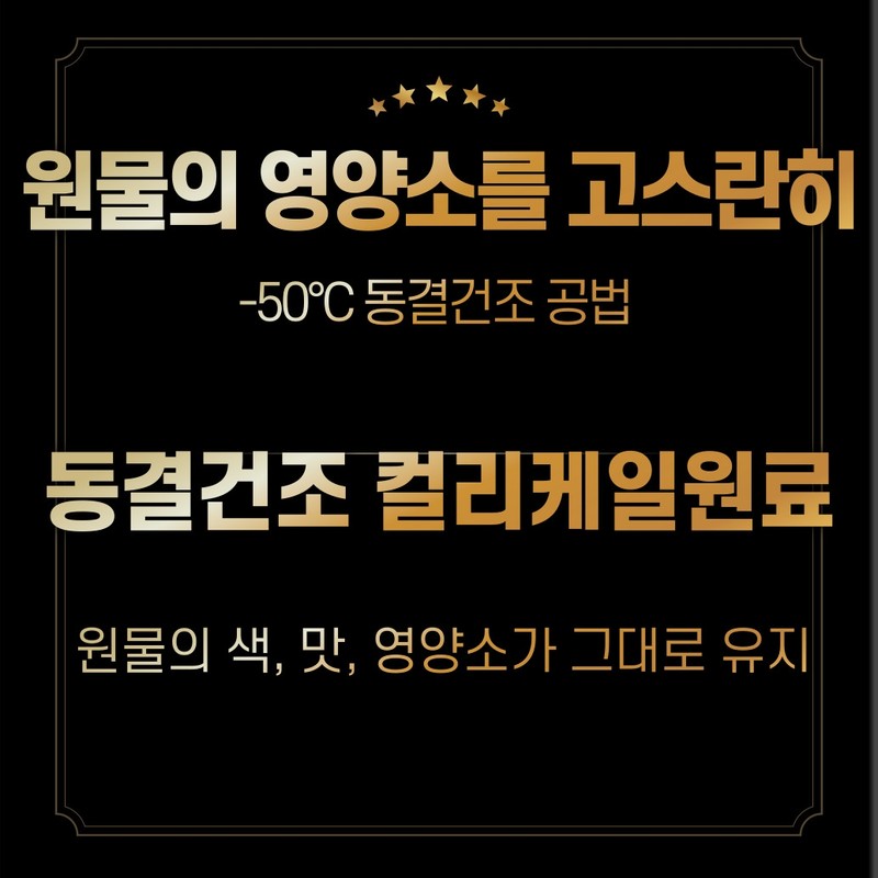 Dr. Lean Curly Kale Powder Song Joong-ki Curly Kale Organic