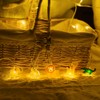 GUOCHENG Animal Fairy String Lights, 10LEDs Warm White Lovely Zoon