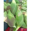 25+ Seeds Bap NEP nu SUA Seeds Rare find Asian
