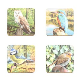 The Leonardo Collection LP93167 Bird Placemats Set of 4, Cork, Multi Colored