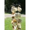 Salty Pelican Pack of 2 Large Saddle Oyster Seashells Windchime