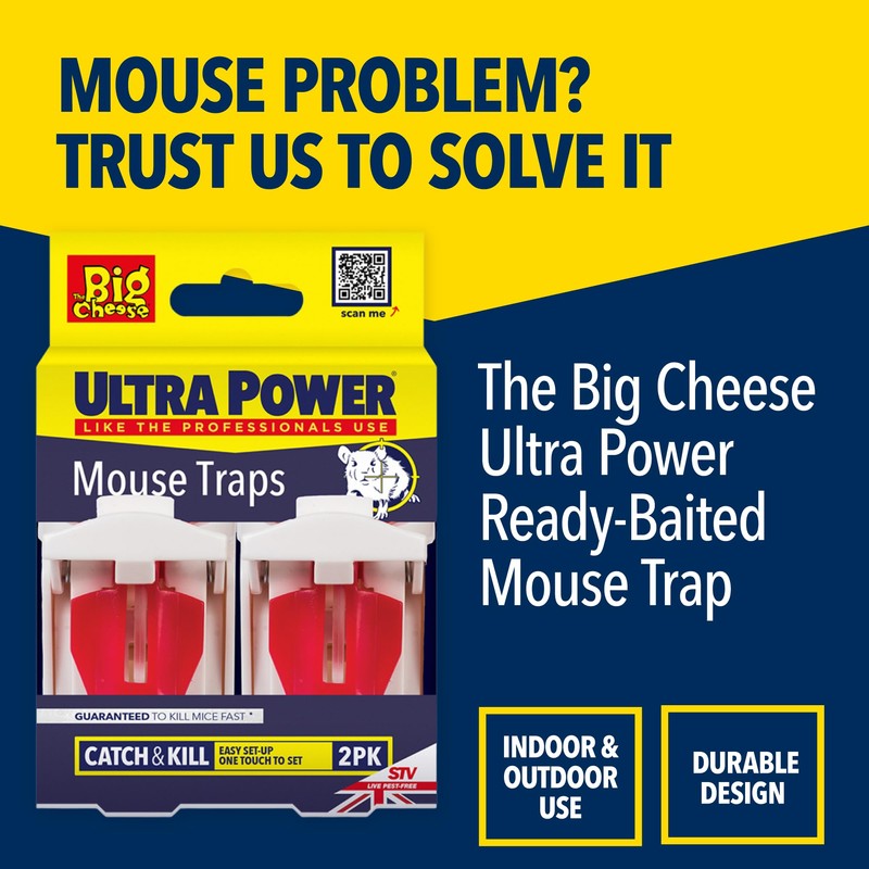 The Big Cheese Ultra Power Ready-Baited Mouse Trap - Multi