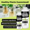 Kratky Hydroponic Fertilizer – Liquid Plant Food for Passive Hydroponics,