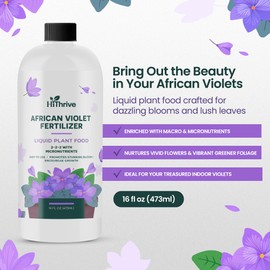 16oz African Violet Fertilizer for African Violets Live Plants - Makes 24 Gallons of Indoor Plant Food for Houseplants, Balanced Macro & Micronutrients Formula for Vibrant Blooms & Lush Foliage