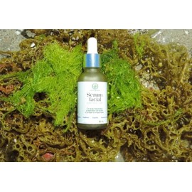 Sérum Facial de Espirulina con Ácido Hialurónico y Complejo Vitamínico, Hidratante y Antioxidante para el Cuidado Diario de la Piel del Rostro, 30 g  