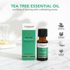 Tisserand Aromatherapy TEA TREE Ethically Harvested, 20ml