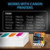Smart Ink Compatible Ink Cartridges Replacement for Canon 281 280