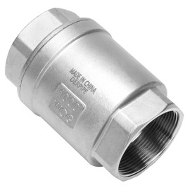 DERPIPE 2 Inch Swing Check Valve - WOG 200 PSI Stainless Steel SS304 CF8M NPT