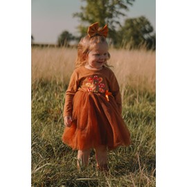 4-5T Toddler Girls Thanksgiving Outfits Dress Long Sleeve Thanksgiving Turkey Tutu Tulle Dress Skirt Fall Winter Clothes Brown