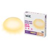 WiZ Dimmable Adria [17W - 2700K Warm White] WiFi Smart