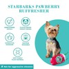 Haute Diggity Dog Starbarks Ruffresher, Plush Designer Dog Toys with