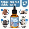 Alfa Pet Dog Cough - Kennel Cough - Dog Allergy