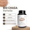 Pilze Wohlrab - Organic Chaga Mushroom Capsules - Chaga Extract