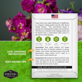 Hoary Stock Seed for Planting - 1 Packet with Instructions to Plant and Grow Vintage Harmony Stock (Matthiola incana) in Your Home Flower Garden - Non-GMO Heirloom Variety - Survival Garden Seeds