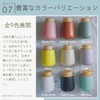 KATAZUKE Foaming Soap Mino Ware Dispenser with Wooden Coaster, 10.1
