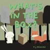 What's in the box?: A children's book about imagination and