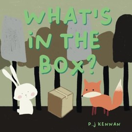 What's in the box?: A children's book about imagination and problem solving