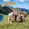 Calendar 2025 Cows