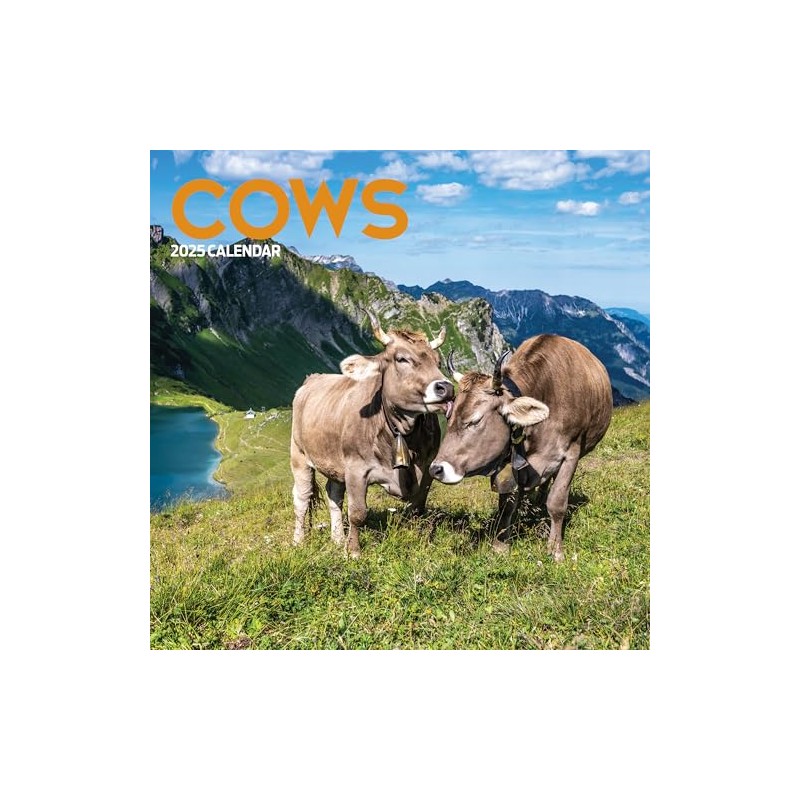 Calendar 2025 Cows