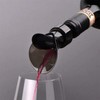 Linsey Drip Free Spout for Decanting