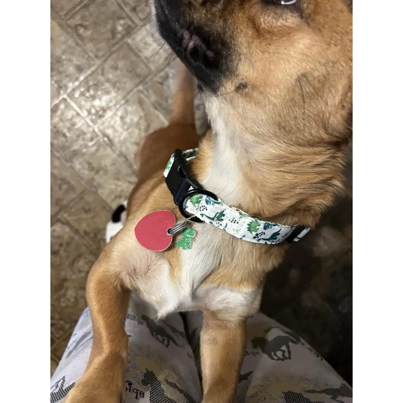 Adjustable Soft Polyester Dog Collar: Featuring a Cute and Adorable