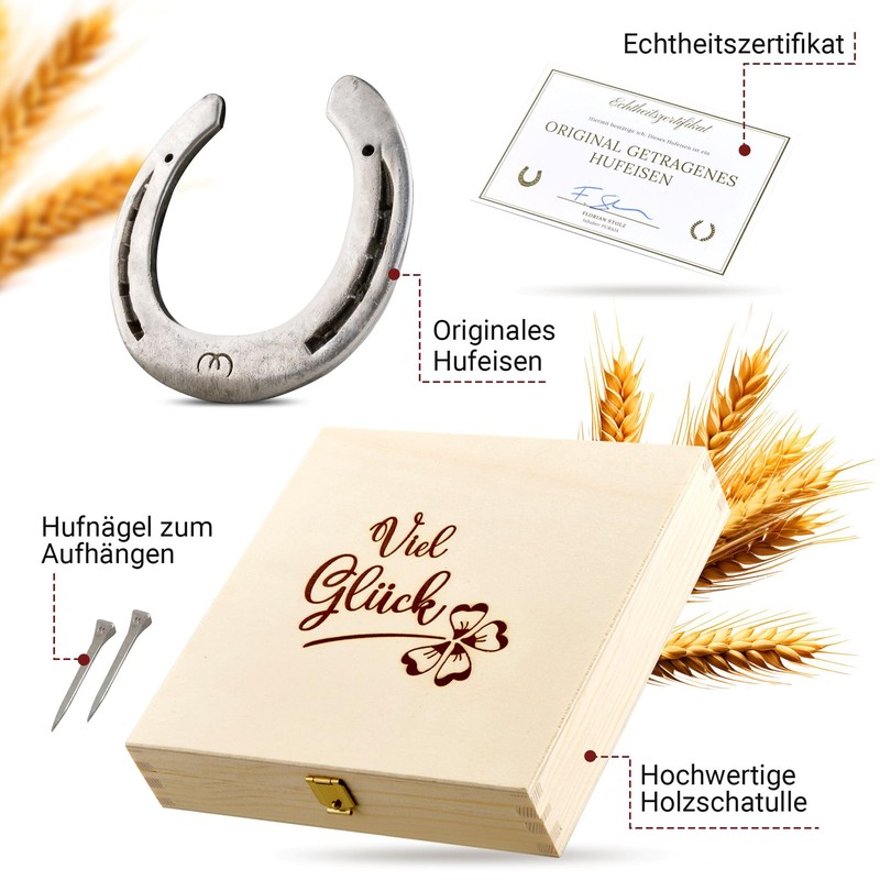 Horseshoe Gift in Wooden Box, Real Worn Horseshoe, Lucky Charm