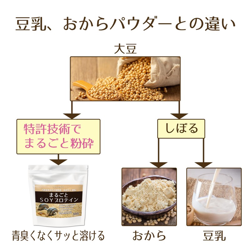 JAY&CO. サッと溶けて水で飲める まるごと SOYプロテイン 青臭さ低減 完全無添加 (500g, ノーフレーバー)