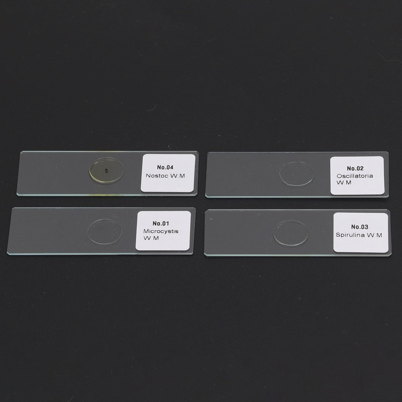25PCS Microscope Slides Optical Glass Cover Transparent Slide Set for