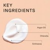Acure Night Cream 1.7 Fl Oz