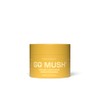 GO MUSH® Lion's Mane Mushroom Extract Powder - 60g -