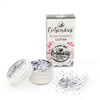 EcoStardust Kiss My Disco Biodegradable Glitter Festivals Bioglitter Cosmetics Face