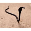 Rebar King Cobra Snake Hand Forged Iron Snake Garden Decor