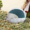 LuckyOpt Ceramic Hamster Hideout, Cute Shell-Shaped Small Animal Habitat, Large